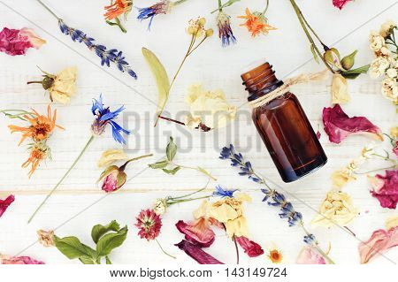 Aromatic essential oil. Top view dropper bottle among colourful dried flowers, medicinal herbs gathering, scattered white wooden table.