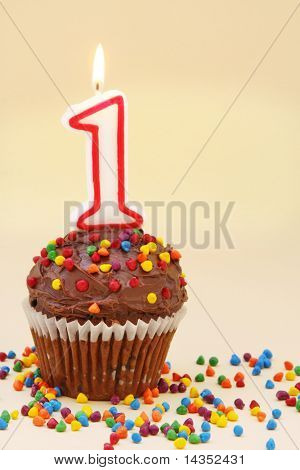 Frosted chocolate cupcake with a numeral one candle.  Surrounded by colourful sprinkles.