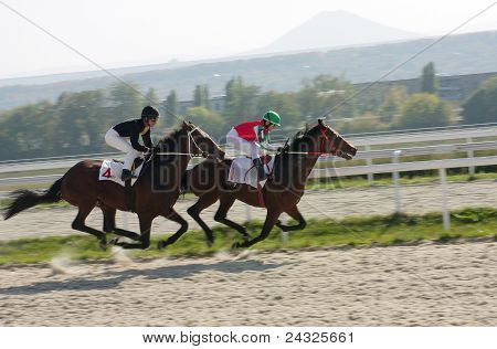 Horse Racing