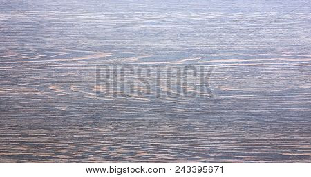 Wood Texture Background, Light Weathered Rustic Oak. Faded Wooden Varnished Paint Showing Woodgrain 