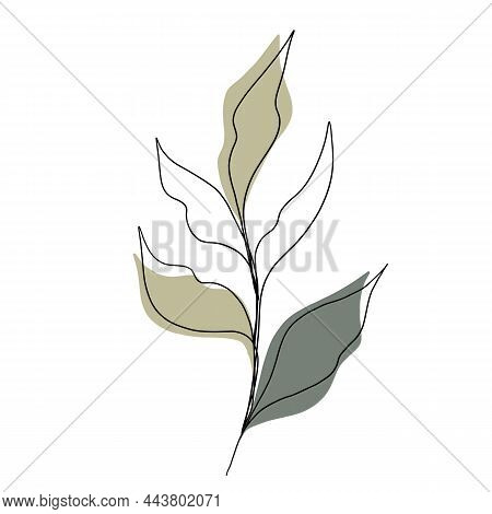 Minimalistic Line Drawing. Leaf Line Art. Botanical Drawing Illustration By Hand. Beautiful Idea For