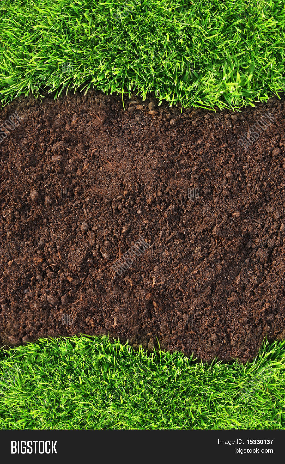 Grass Soil Background Image & Photo (Free Trial) | Bigstock