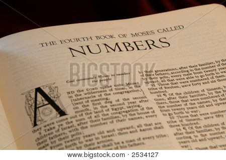 Books Of The Bible  Numbers