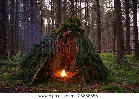 Primitive Bushcraft Wikiup / Teepee Survival Shelter With Campfire In The Forest Wilderness Of Upsta