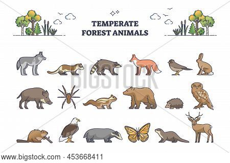 Temperate Forest Animals And Living Nature Species Outline Collection Set. Wildlife Examples For Tem