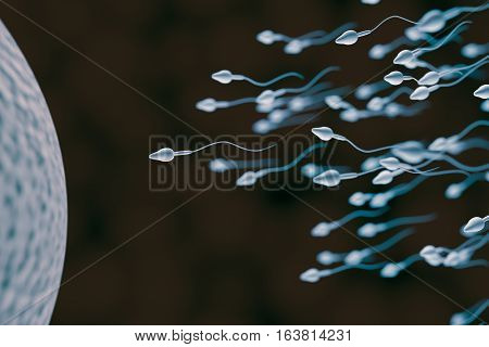 Sperm And Egg Cell. Fertilization Concept. 3D Rendered Illustrat