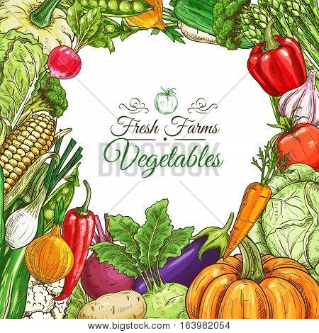 Vegetables poster or vegetarian menu design template. Fresh farm tomato and pepper, carrot, onion and garlic, pumpkin and potato, eggplant, corn, beet, zucchini, pea, cabbage, lettuce vegetable sketches