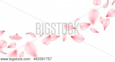 Flying Sakura Petals, Isolated Vector Design For Wedding Invitation Or Valentines Day Greeting Card.