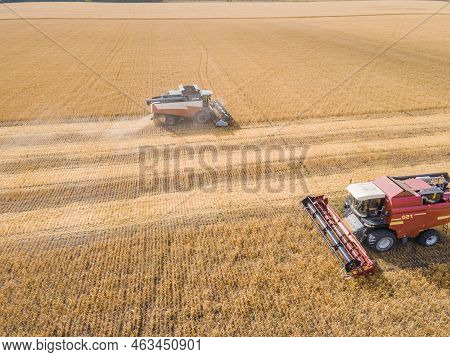 Harvest Wheat Grain And Crop Aerial View.harvesting Wheat,oats, Barley In Fields,ranches And Farmlan