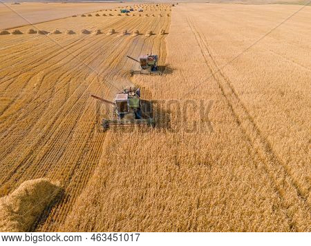 Harvest Wheat Grain And Crop Aerial View.harvesting Wheat,oats, Barley In Fields,ranches And Farmlan