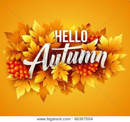 Autumn typographic. Fall leaf. Vector illustration