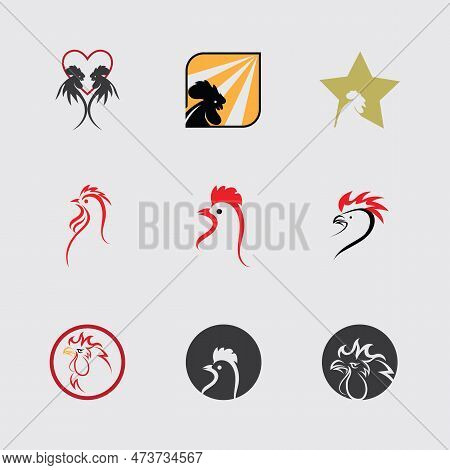 Rooster Logo Images Illustration Design