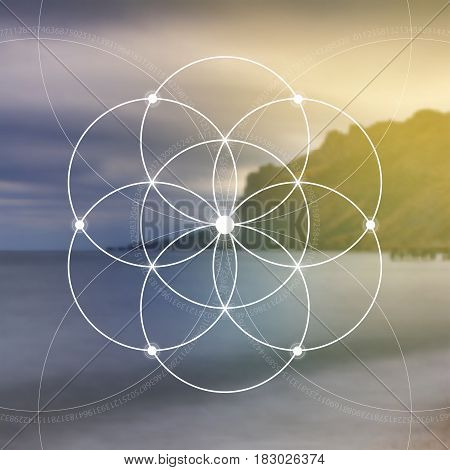 Flower of life - the interlocking circles ancient symbol. Sacred geometry. Mathematics, nature, and spirituality in nature. Fibonacci row. The formula of nature. Self-knowledge in meditation.