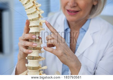 Mid section of female doctor holding spine model in medical office