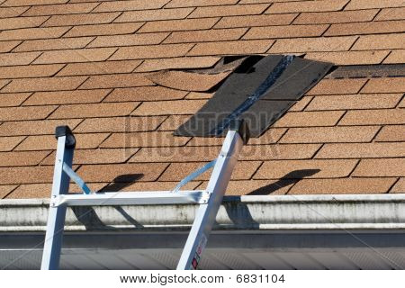 Damaged Roof Shingles Repair