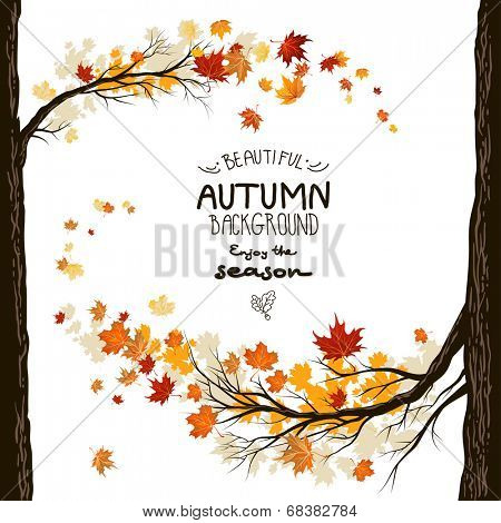 Fall background with leaves. Autumnal frame from trees