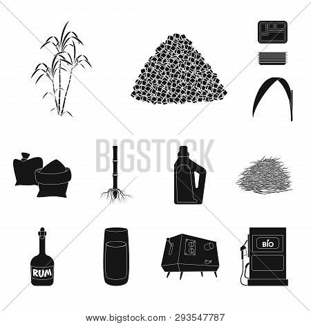 Vector Design Of Sucrose And Technology Logo. Set Of Sucrose And Cane Stock Vector Illustration.