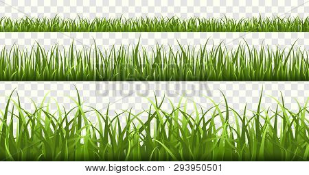 Green Grass Borders. Football Field, Summer Meadow Green Nature, Panorama Herbs Spring Macro Element