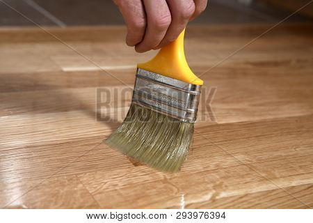 Varnishing Lacquering Parquet Floor By Paintbrush - Second Layer. Home Renovation Parquet. Varnish P