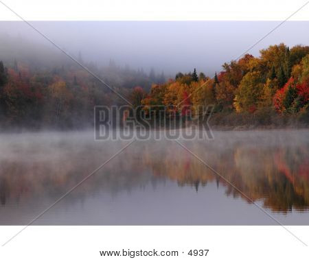 Finom Misty Morning