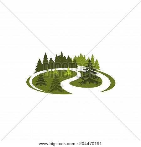 Park green nature icon of forest tree landscape. Park, forest or garden symbol with grass lawn or woodland meadow, pine and fir tree for eco park, outdoor nature and summer garden design