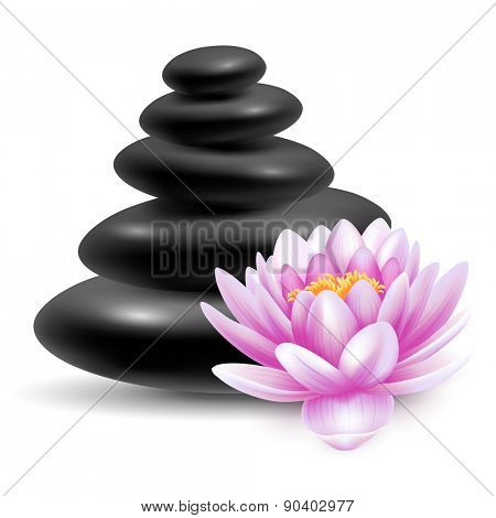 Spa still life with black massage stones and pink lotus flower. Vector illustration. Isolated on white background.