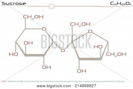 Large and detailed illustration of the molecule of Sucrose