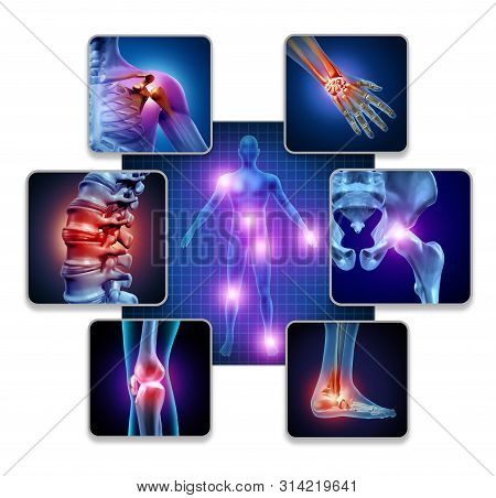 Human Body Joint Pain Concept As Skeleton And Muscle Anatomy Of The Body With A Group Of Sore Joints