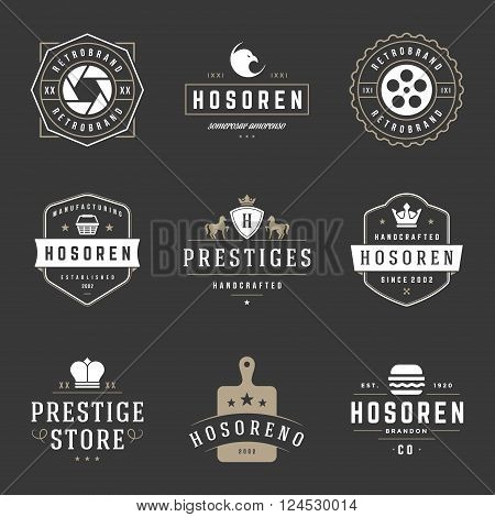 Vintage Logos Design Templates Set. Vector design elements, Logo Elements, Logo symbols, Logo Icons, Logo Vector, Symbols Design, Retro Logos. Photo Logo, Eagle Head Logo, Bakery Logo, Crown Logo.