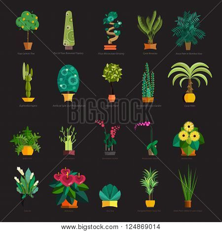 Garden plants.Potted flowers in the garden vector illustration.Potted garden green plants. Greengouse garden plants and flowers.Planting greenery plants.Tropical garden plants.outdoor tree plants.