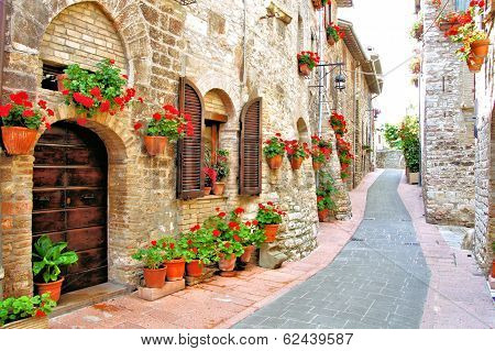 Flower filled Italian lane