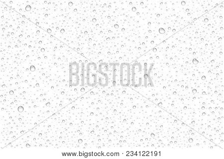 Vector Realistic Water Drops Condensed On Transparent Background. Rain Droplets Without Shadows For 