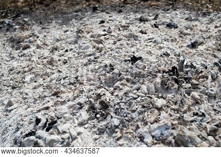 Ash From A Campfire Natural Background Texture. Close-up Of Gray Ash. Ash Texture.