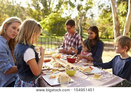 Two families having a picnic at a table in a park, close up