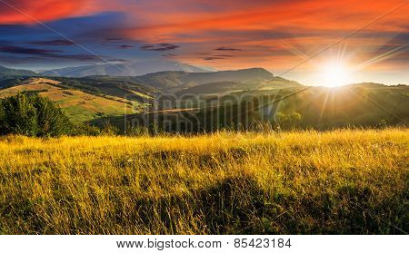 Meadow With Tall Grass In Mountains At Sunset