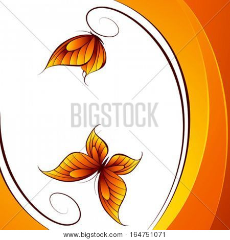 Butterfly. Abstract beautiful vector illustration.