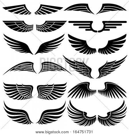 Wings. Elements for design. Vector illustration.