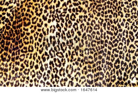 Leopard Print