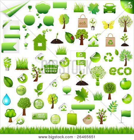 Collection Eco Design Elements, Isolated On White Background, Vector Illustration