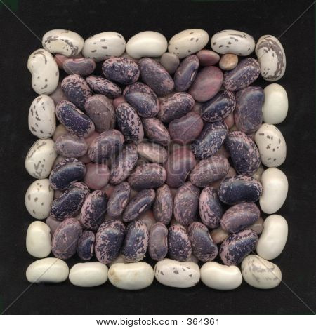 Kidney Beans