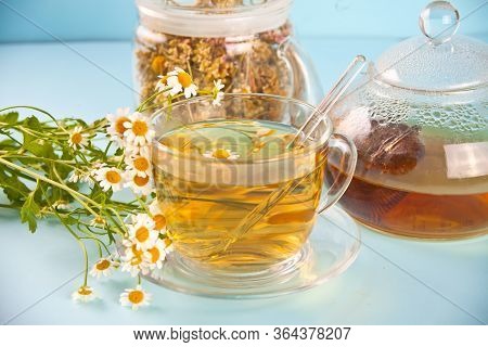 Glass Of Healthy Herbal Camomille Tea. Naturopathy. Matricaria Chamomilla.