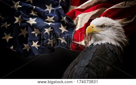 American Bald Eagle - symbol of america -with flag. United States of America patriotic symbols.