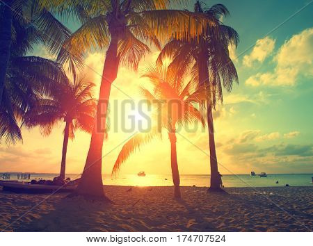 Sunset Beach with palm trees and beautiful sky. Tourism, travel, vacation concept background. Mexico. Exotic Paradise scene of Caribbean Island. Sun, Palms, Caribbean Sea