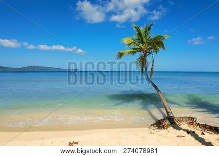 Travel Vacation Tropical Destination. Palm Tree Beach Landscape. Travel Vacations Destination. Trave