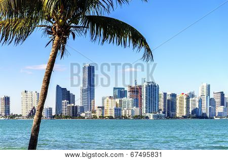 Miami Downtown Skyline