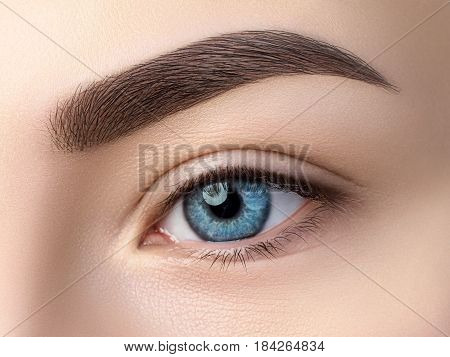 Close Up View Of Beautiful Blue Female Eye