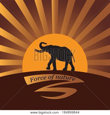 Elephant on a background a sun. Vector image. Logo, icon. Design for banner, poster, illustratie book, print on fabric or paper