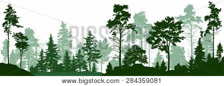 Forest Silhouette Trees. Evergreen Coniferous Forest With Pines, Fir Trees,  Christmas Tree, Cedar, 