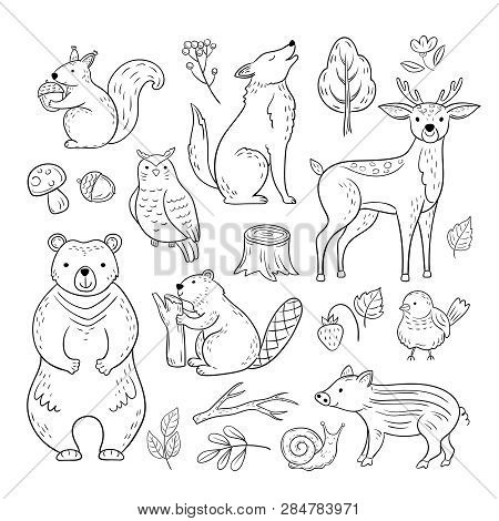 Doodle Forest Animals. Woodland Cute Baby Animal Squirrel Wolf Owl Bear Deer Snail Childrens Sketch 