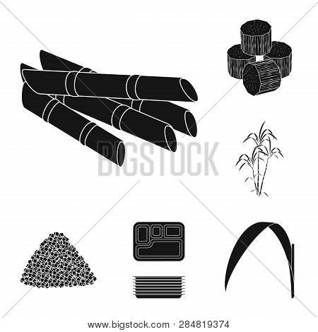 Isolated Object Of Sucrose And Technology Icon. Collection Of Sucrose And Cane Stock Vector Illustra